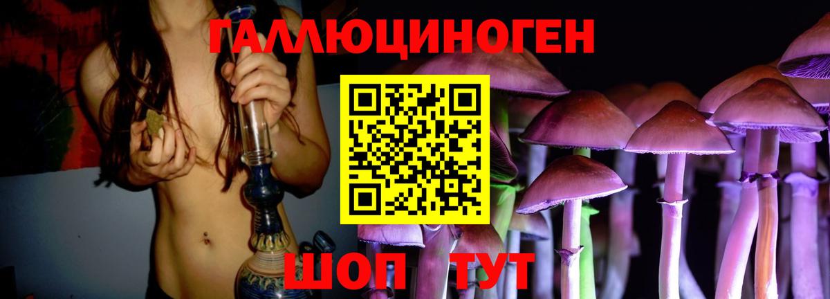 Галлюциногенные грибы GOLDEN TEACHER  Вход с VPN  Тверь  Псилоцибиновые грибы Magic Shrooms 